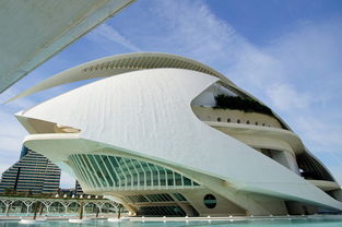 临沧与广州 跨越山海的人才汇聚新篇章